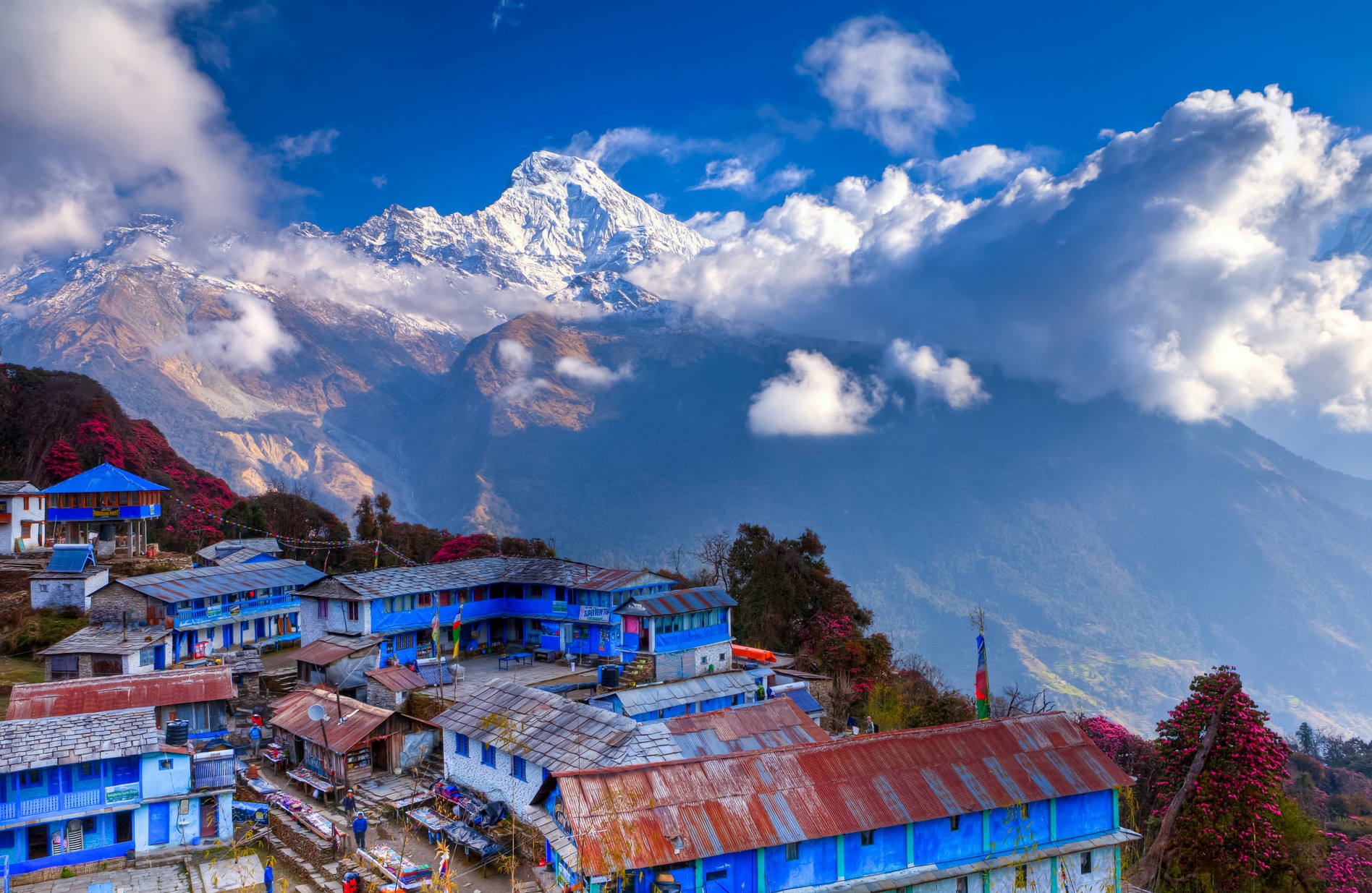 Tadapani Village