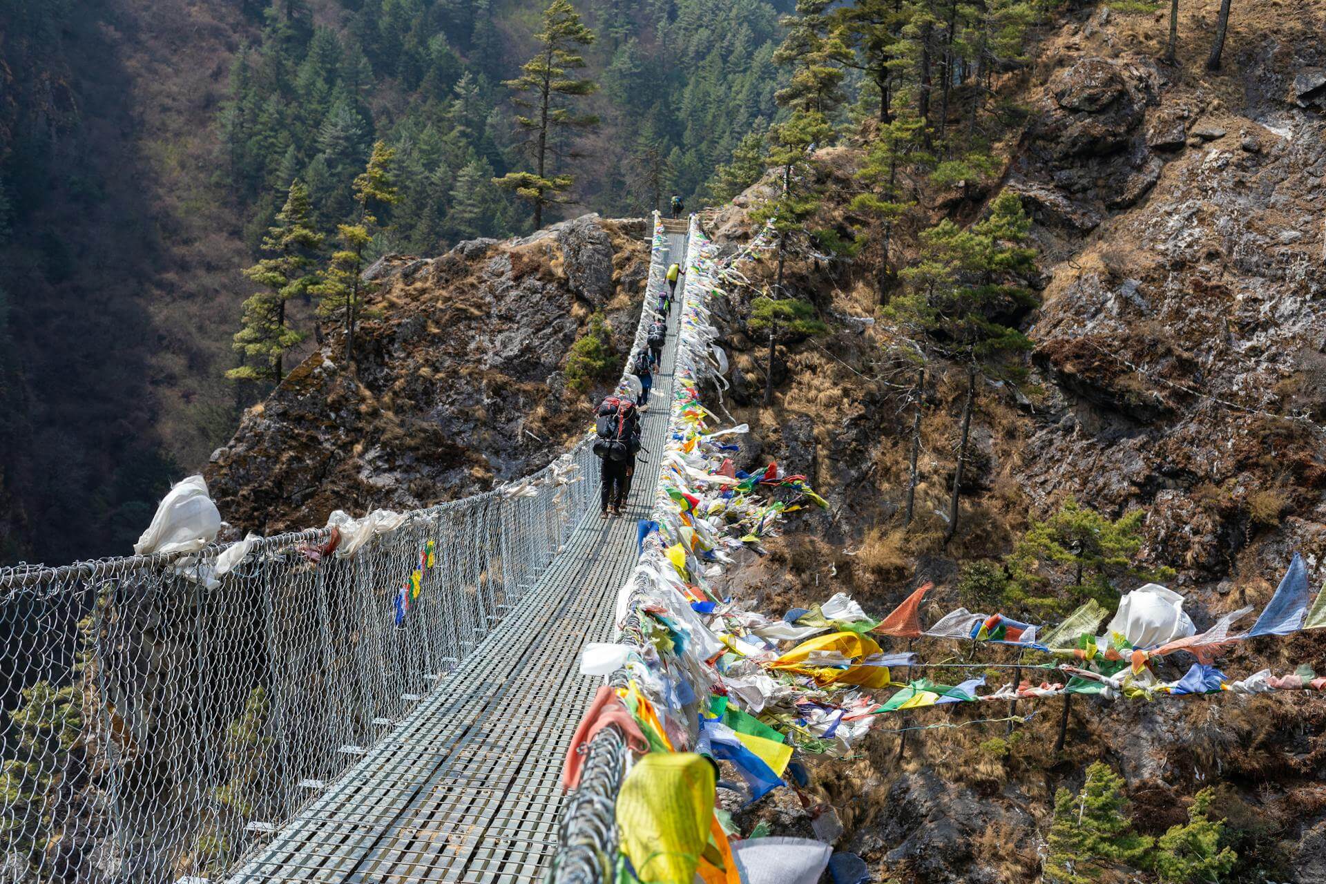 Suspension Bridge In Himalayas
