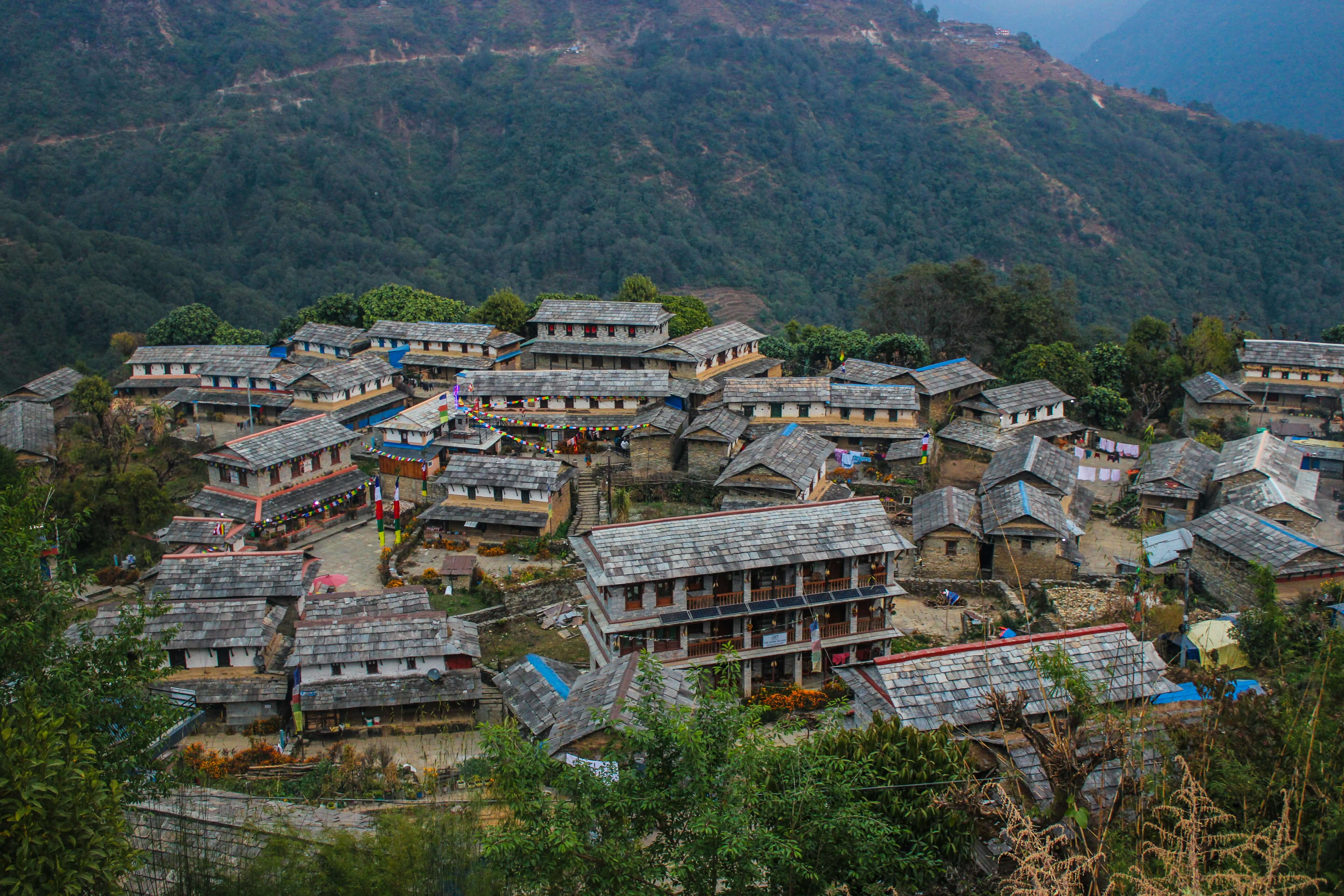 Ghorepani Poon Hill Trek (3)
