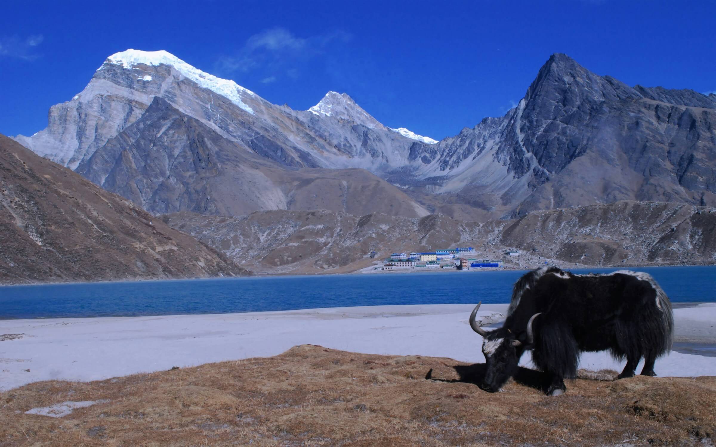 Gokyo Lake Close View